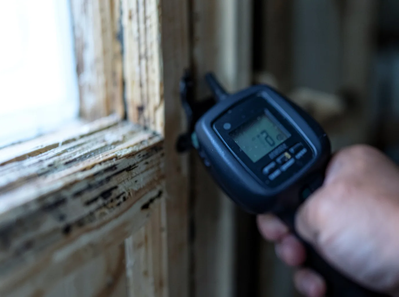 Moisture Inspection And Documentation in Louisville, TN